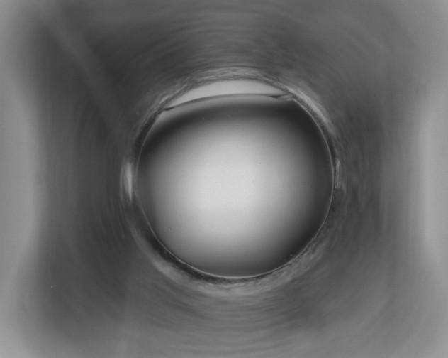 X0000112940013200908241329