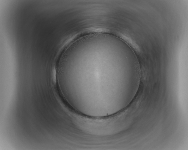 X0000112940014200908241329