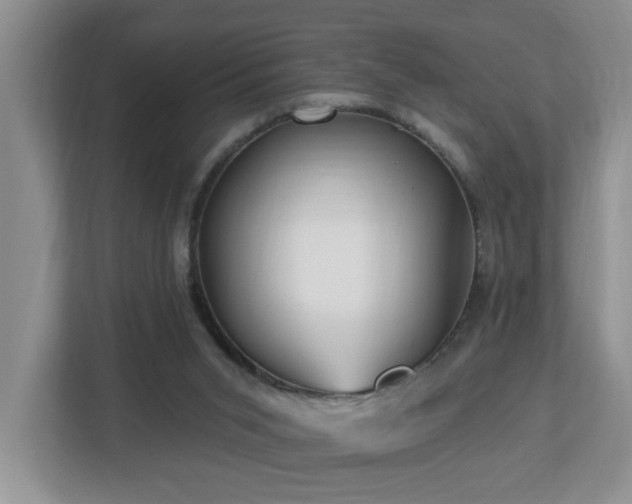 X0000112940015200908241329