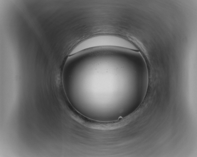 X0000112940017200908241329