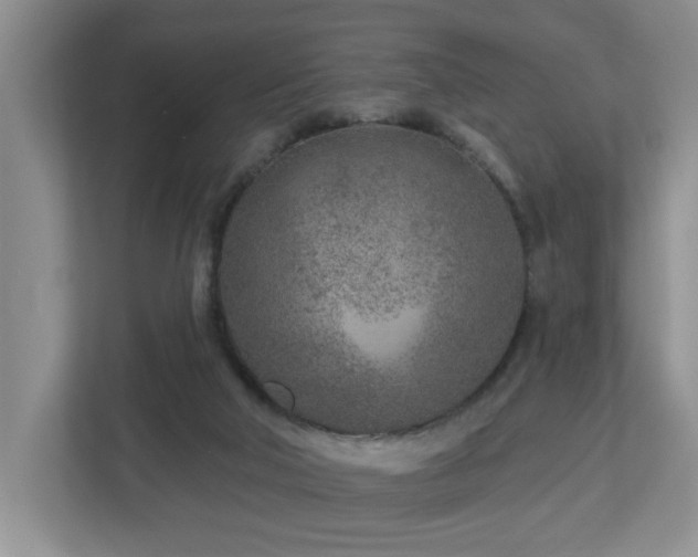 X0000112940018200908241329