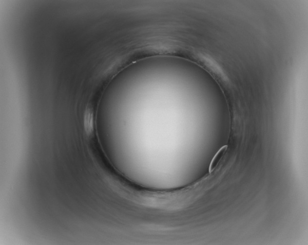 X0000112940021200908241329