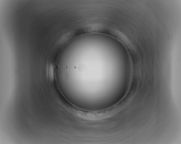 X0000112940022200908241329