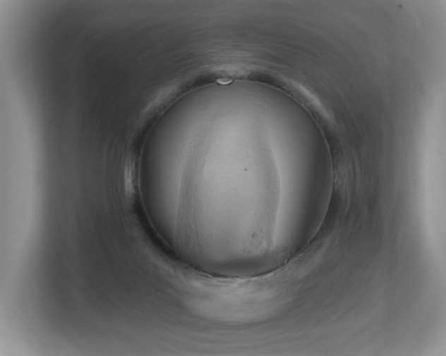 X0000112940023200908241329