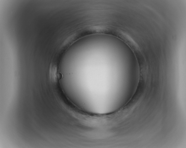X0000112940024200908241329