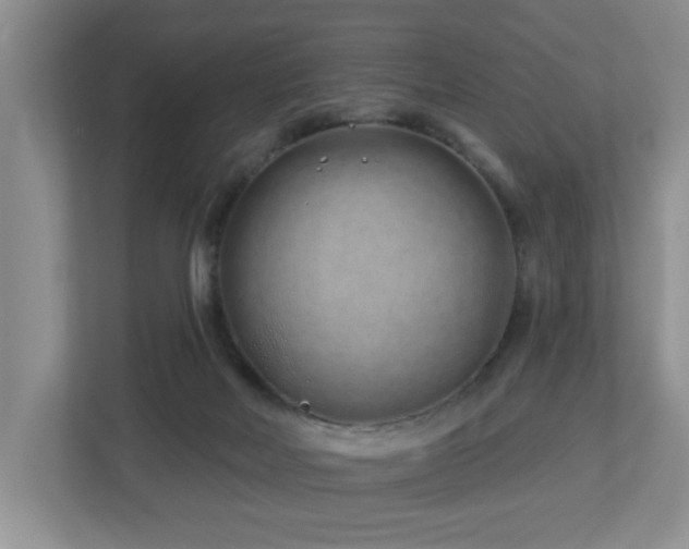 X0000112940026200908241329
