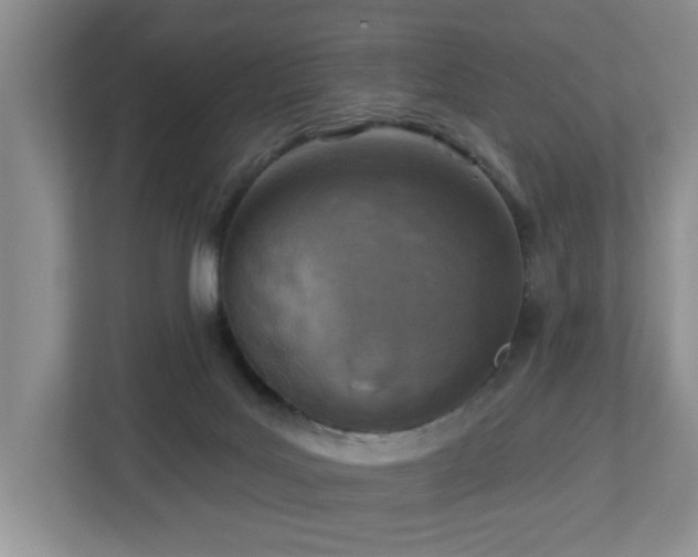 X0000112940027200908241329