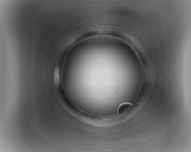 X0000112940028200908241329