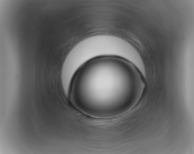 X0000112940029200908241329