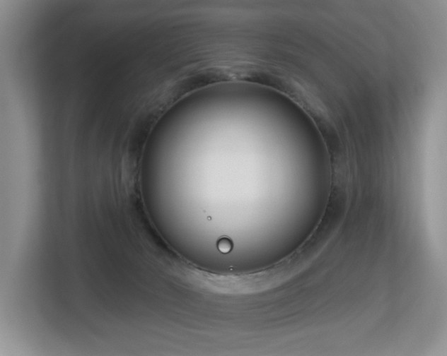 X0000112940030200908241329