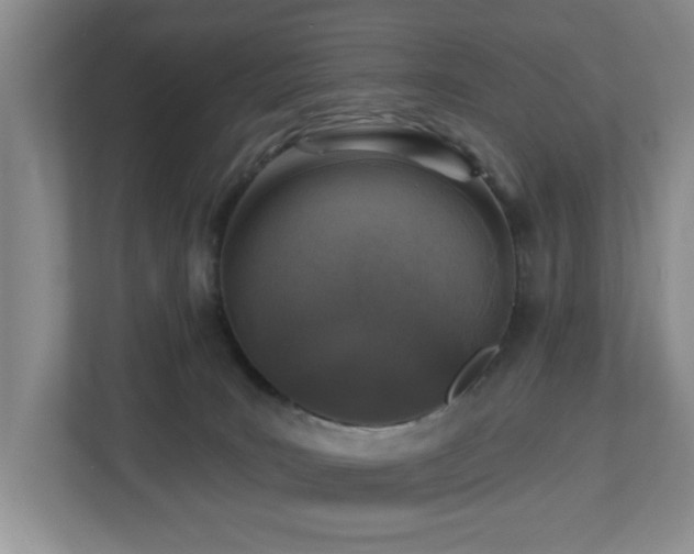 X0000112940035200908241329