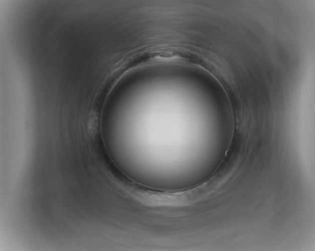 X0000112940036200908241329