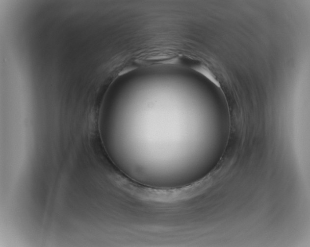X0000112940037200908241329
