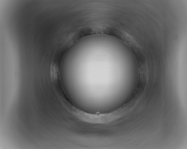 X0000112940038200908241329
