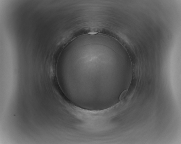 X0000112940039200908241329