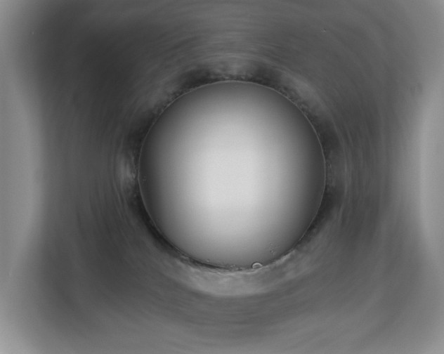 X0000112940040200908241329