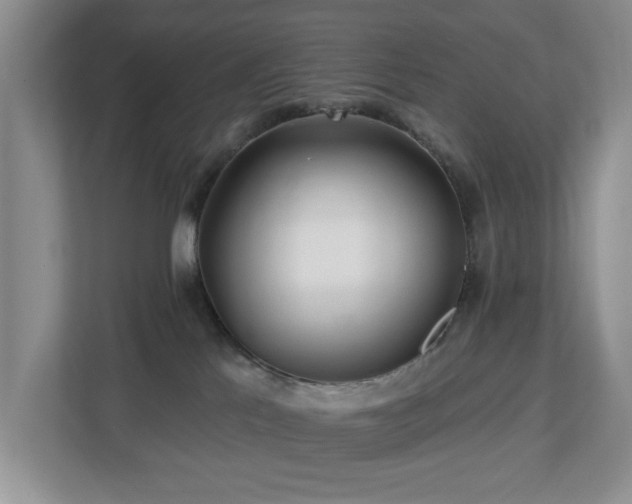 X0000112940041200908241329