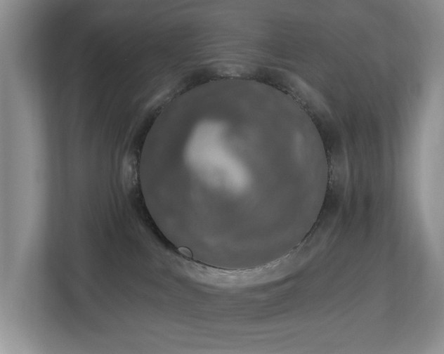 X0000112940043200908241329