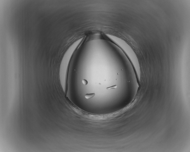 X0000112940045200908241329