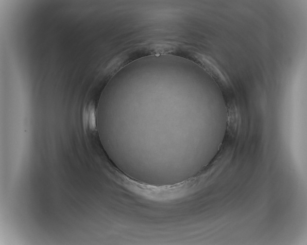 X0000112940046200908241329
