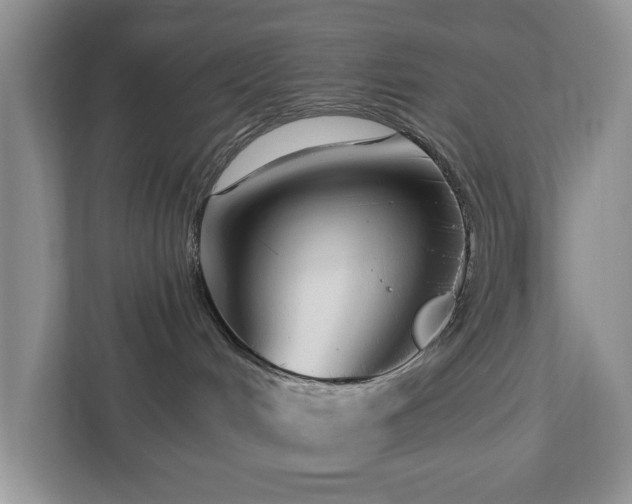 X0000112940048200908241329