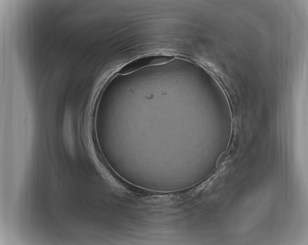 X0000112940049200908241328