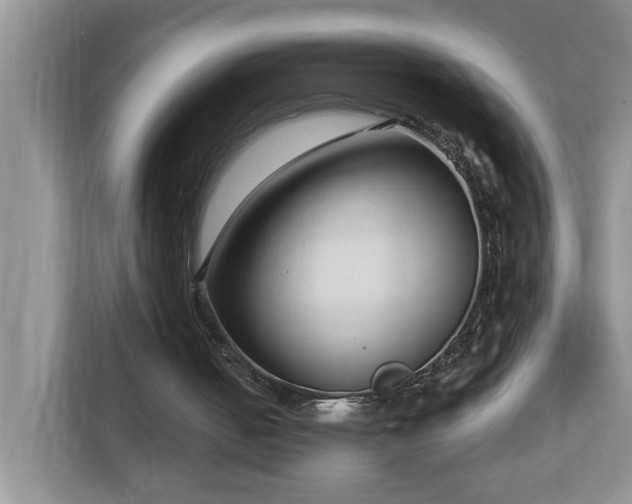 X0000112940050200908241328