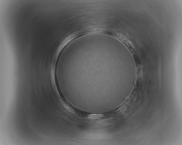 X0000112940051200908241328
