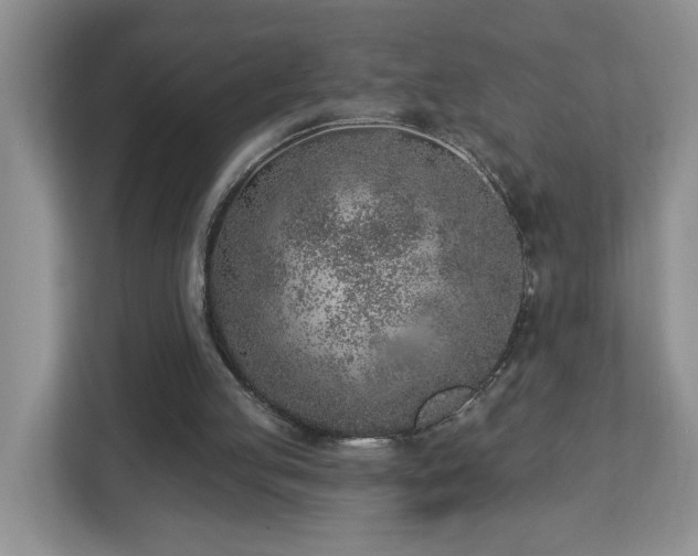 X0000112940053200908241328