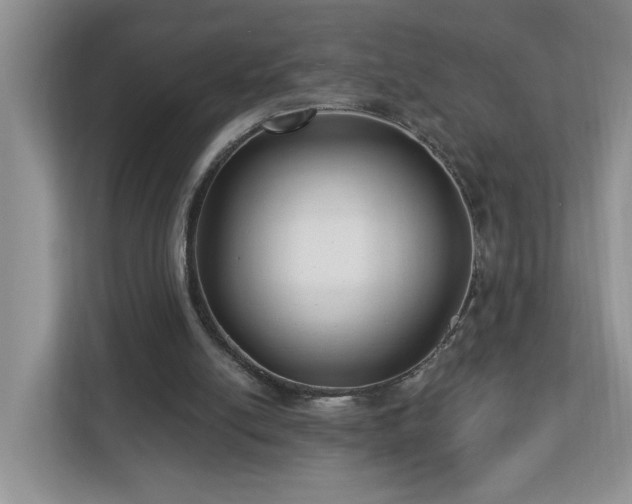 X0000112940054200908241328