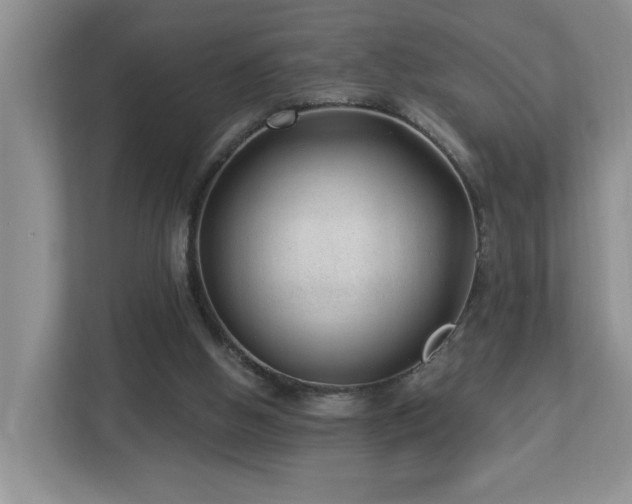 X0000112940058200908241328