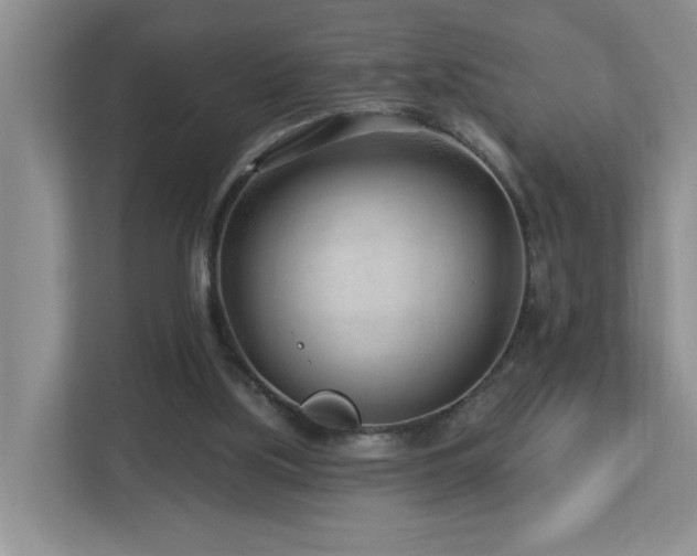 X0000112940059200908241328