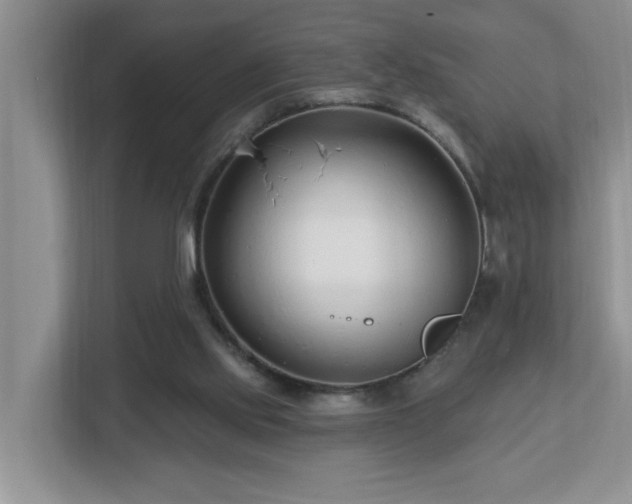 X0000112940061200908241328