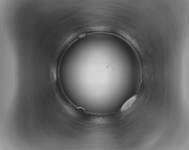 X0000112940062200908241328