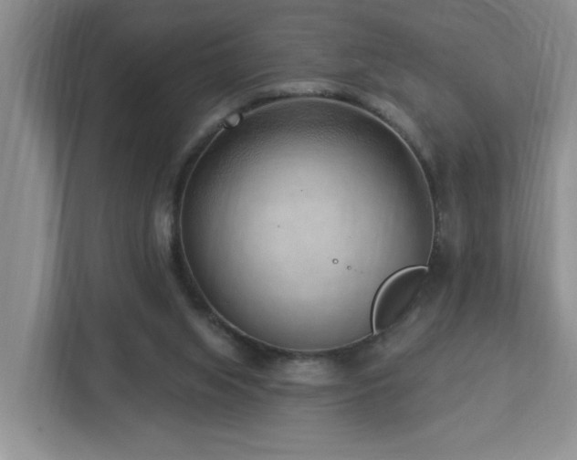 X0000112940063200908241329