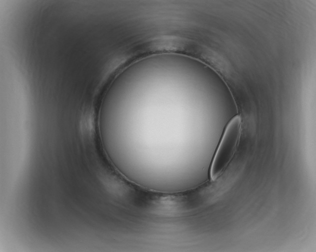 X0000112940064200908241329