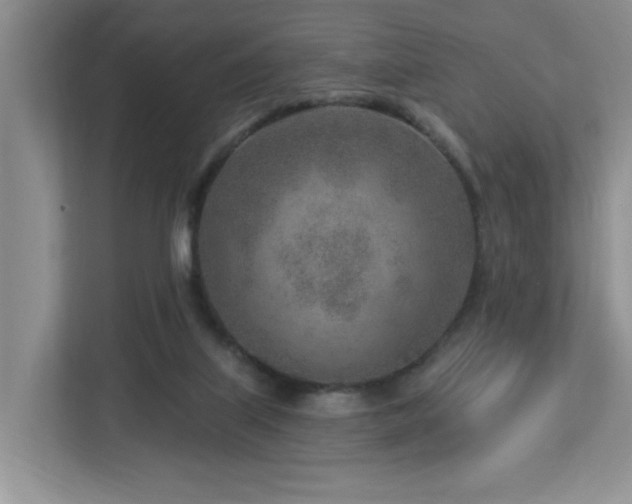 X0000112940067200908241329