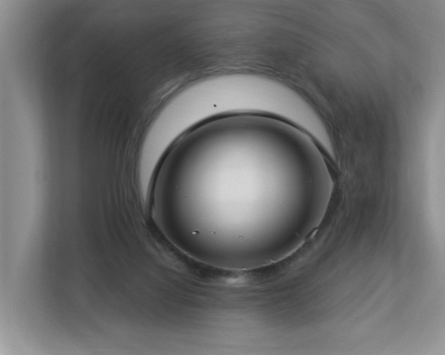 X0000112940068200908241329