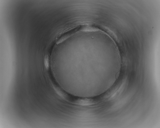 X0000112940069200908241329