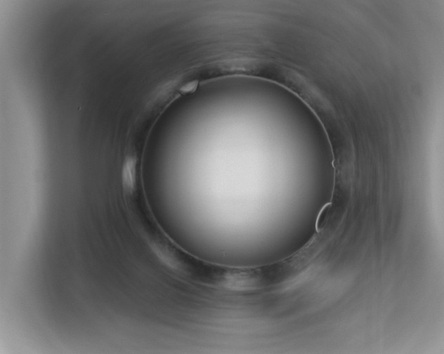 X0000112940070200908241329