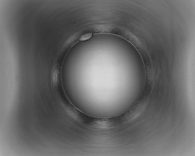 X0000112940071200908241329