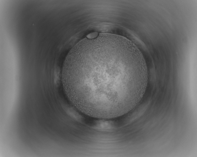 X0000112940073200908241329
