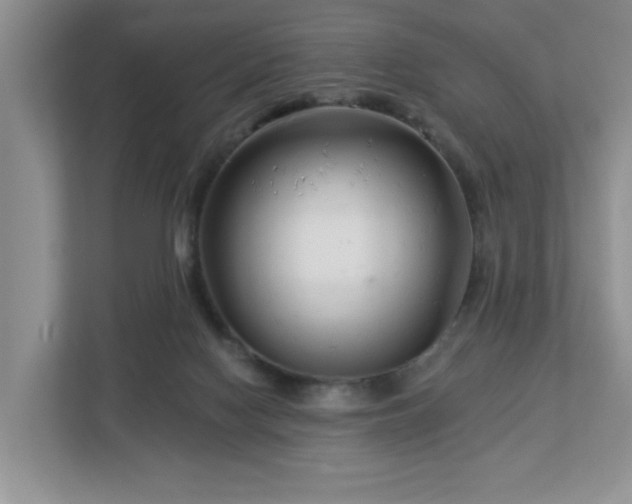 X0000112940074200908241329
