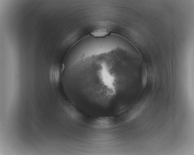 X0000112940076200908241329