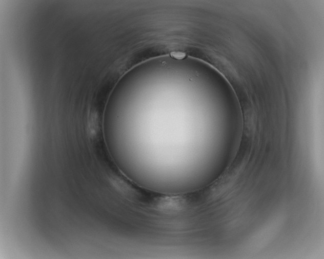 X0000112940077200908241329