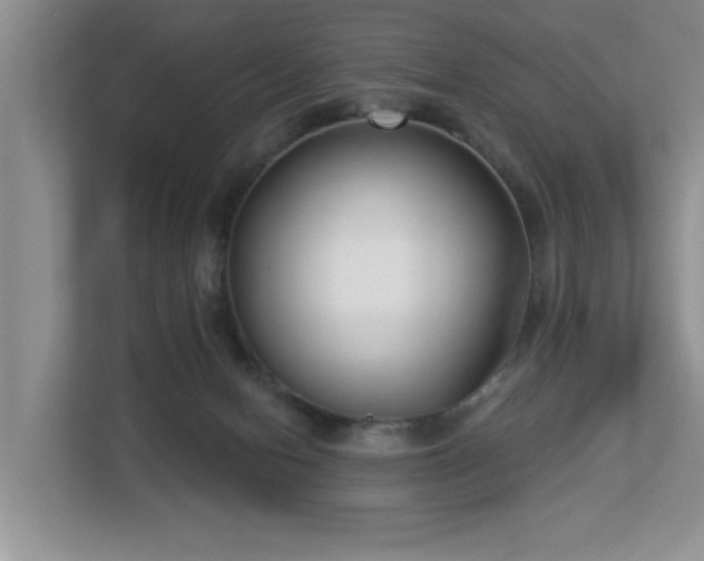 X0000112940078200908241329