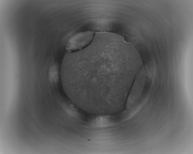 X0000112940080200908241329