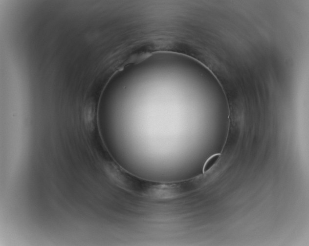X0000112940082200908241329