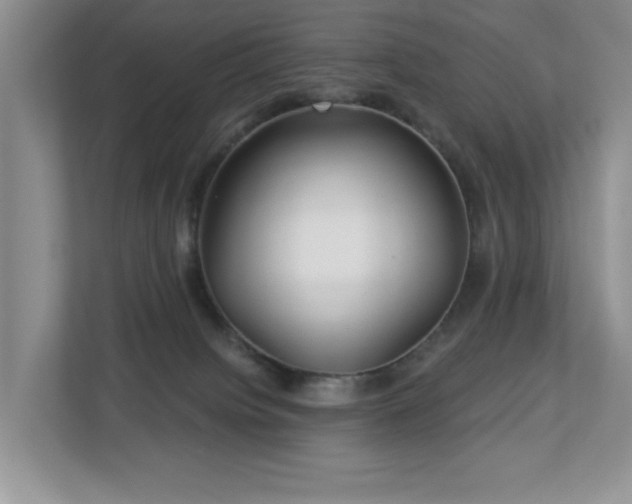 X0000112940084200908241329