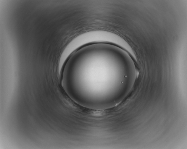 X0000112940088200908241329